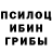 Псилоцибиновые грибы GOLDEN TEACHER Rijal Junior