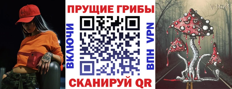 где можно купить наркотик  Новоалтайск  Псилоцибиновые грибы мицелий 